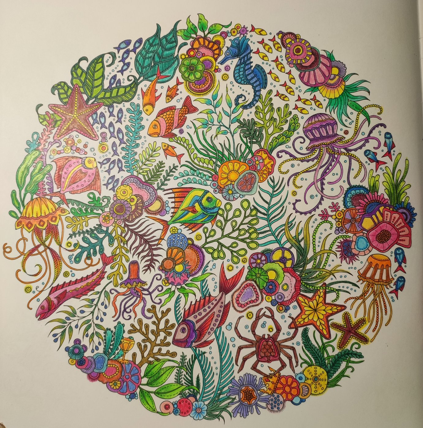 Работа от ColorfulOlga