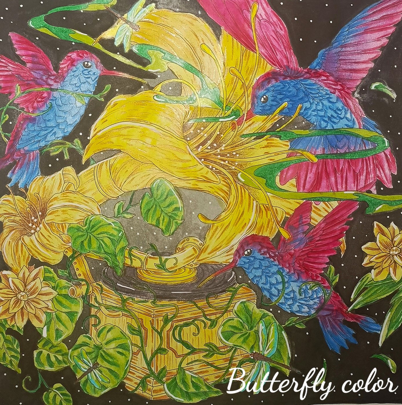 Работа от Butterfly color