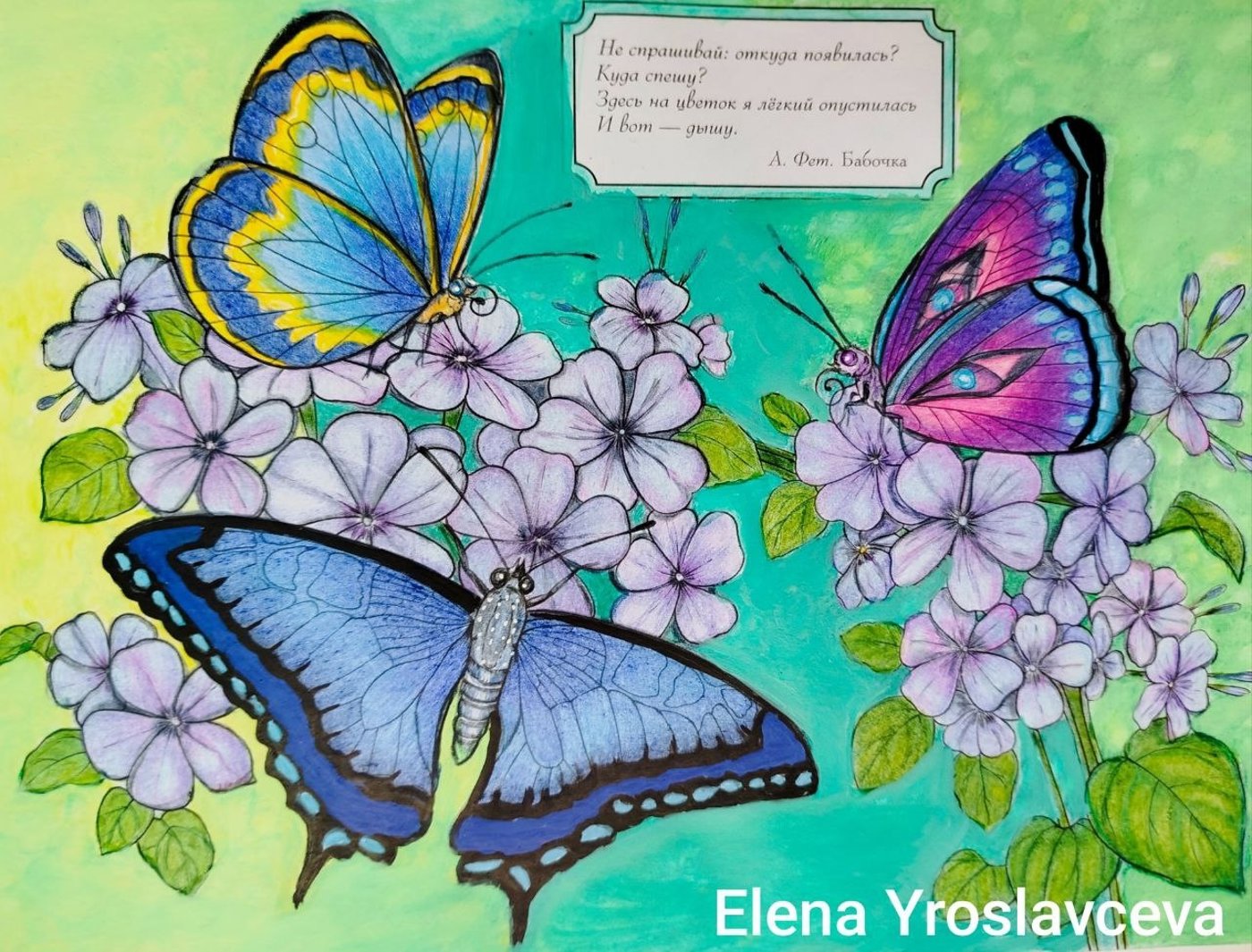 Работа от Elena Y.