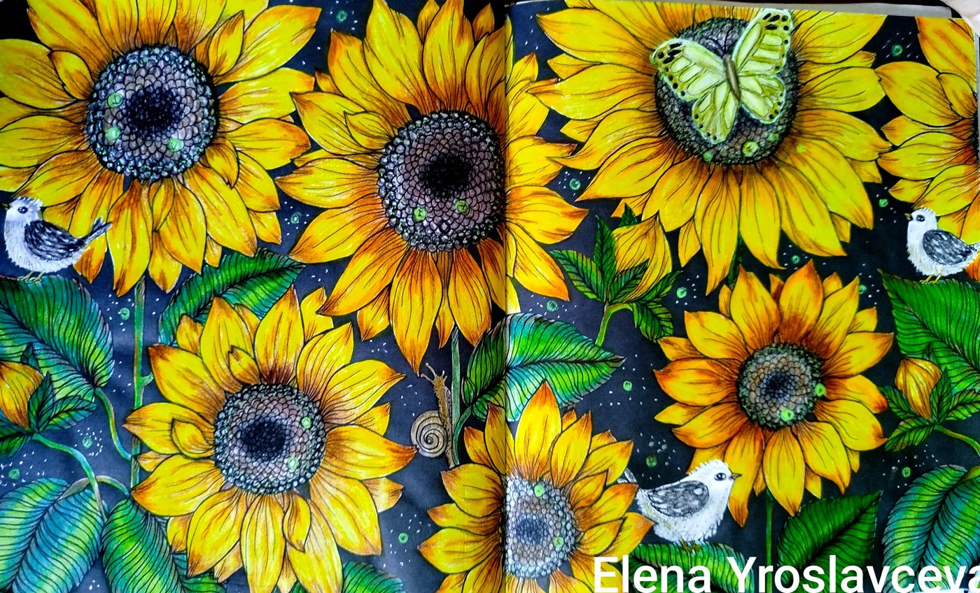 Работа от Elena Y.