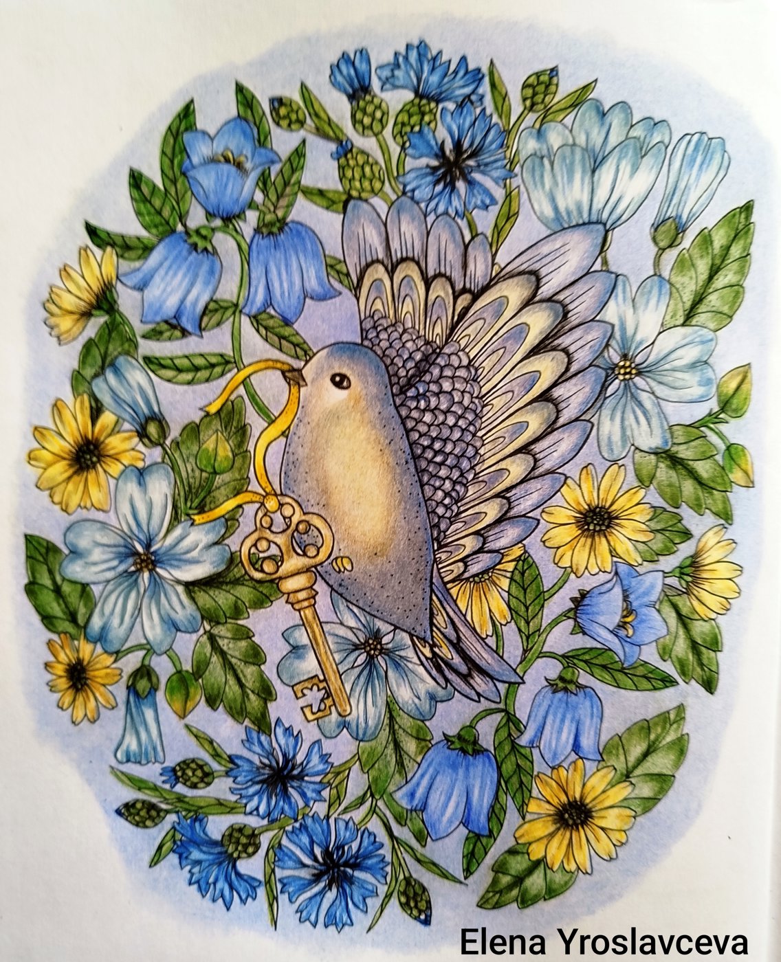 Работа от Elena Y.