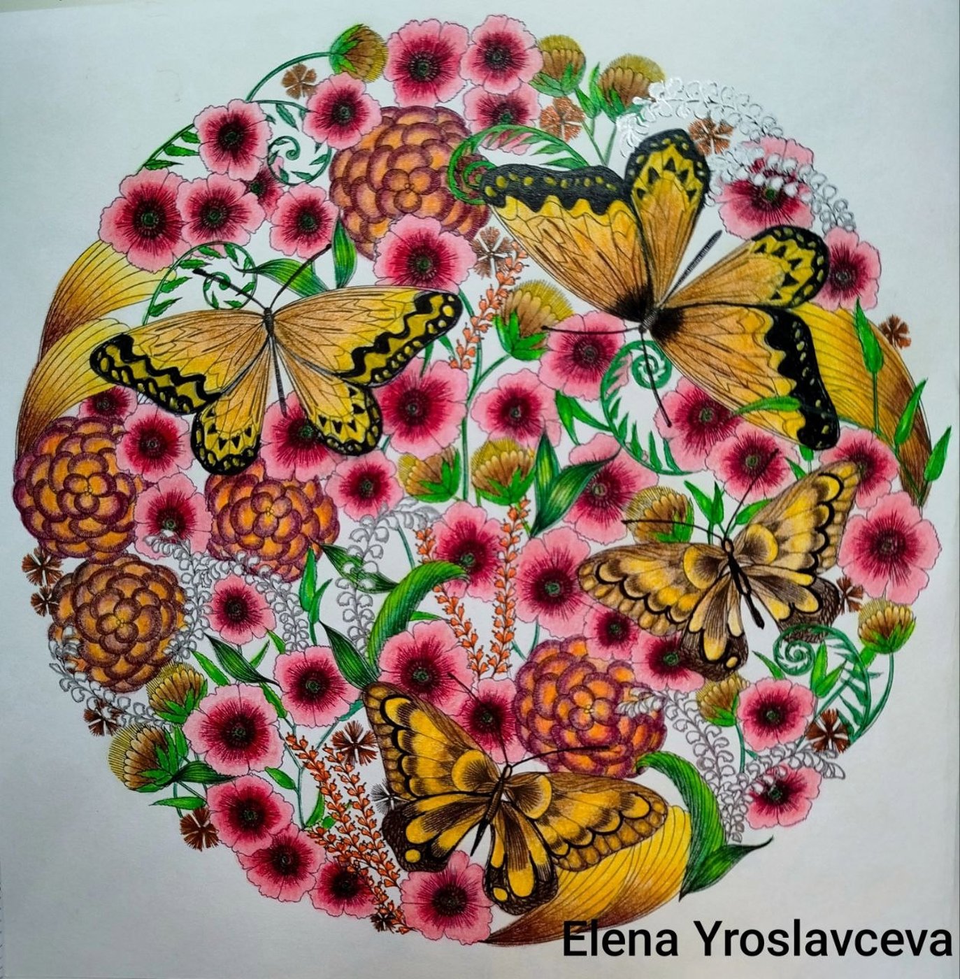 Работа от Elena Y.