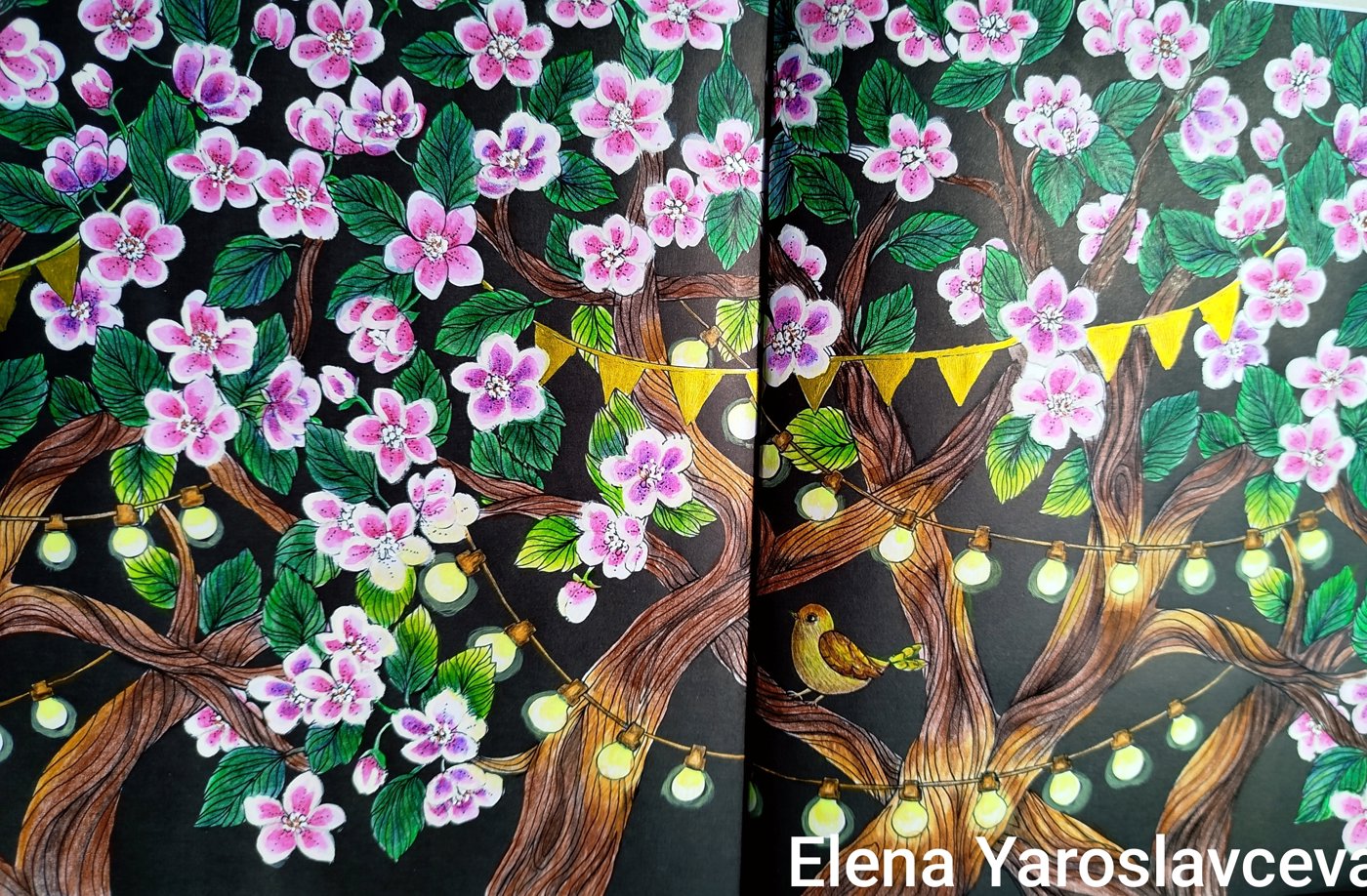 Работа от Elena Y.