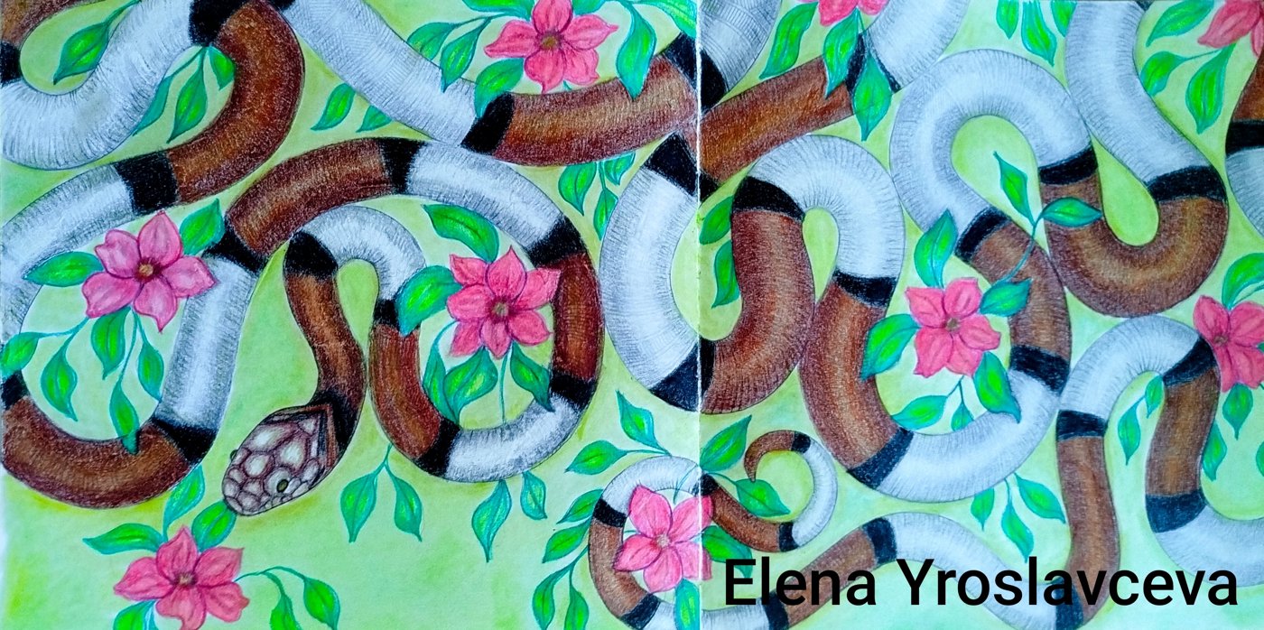 Работа от Elena Y.