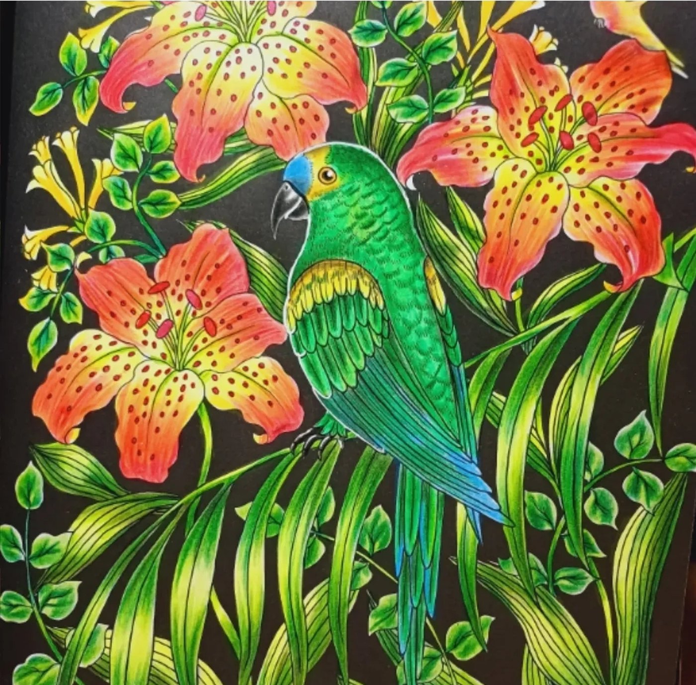 Работа от Natali75coloring