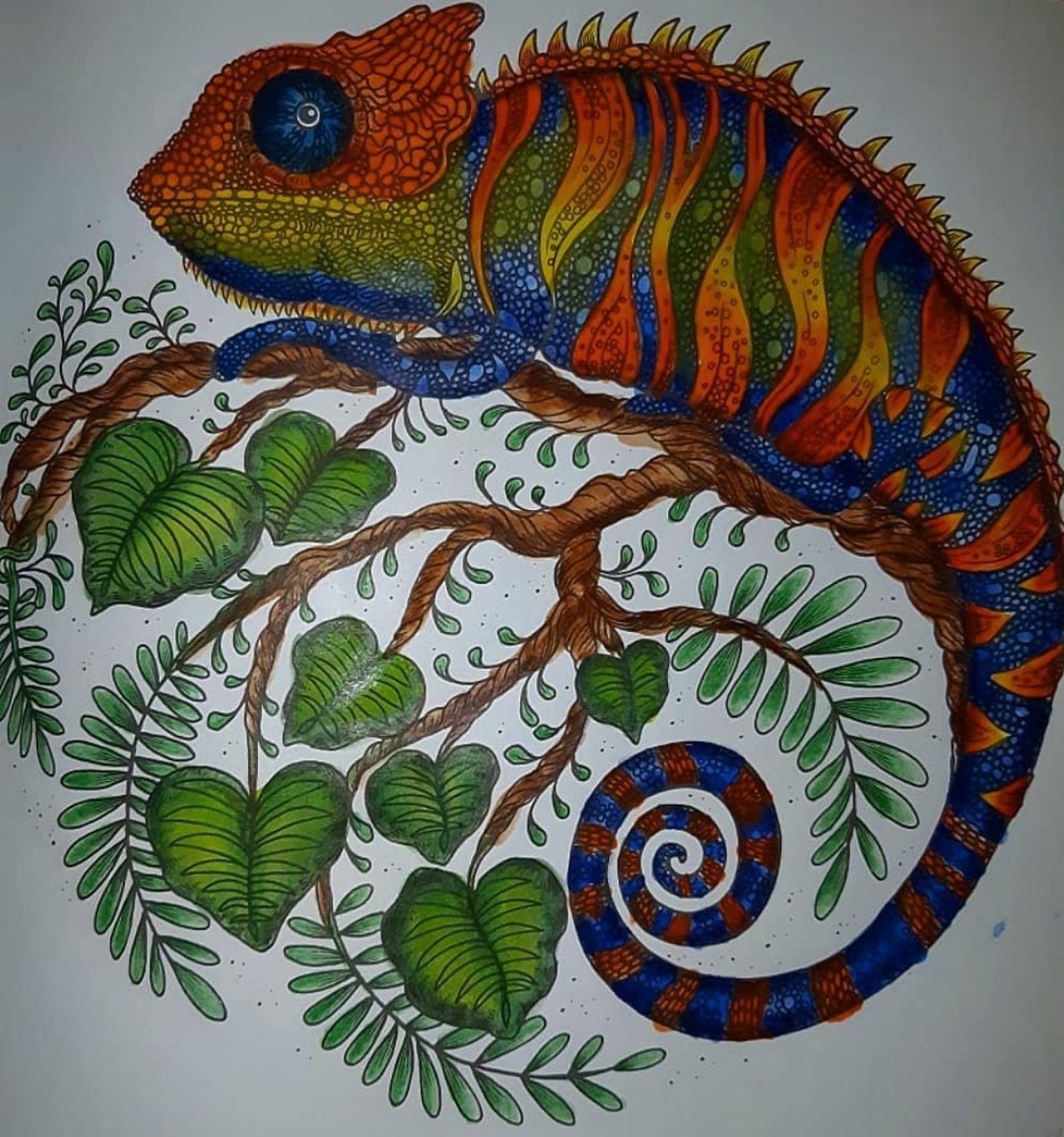 Работа от Natali75coloring
