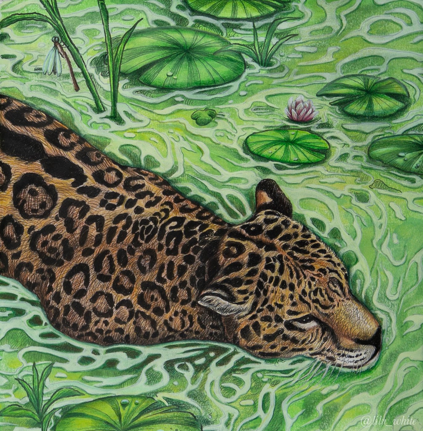 Работа от lilu_white (3/3)