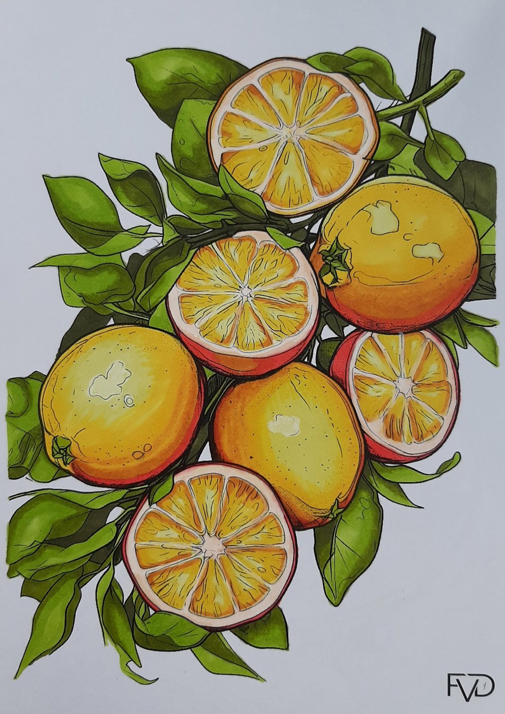 Работа от Natalya_coloring