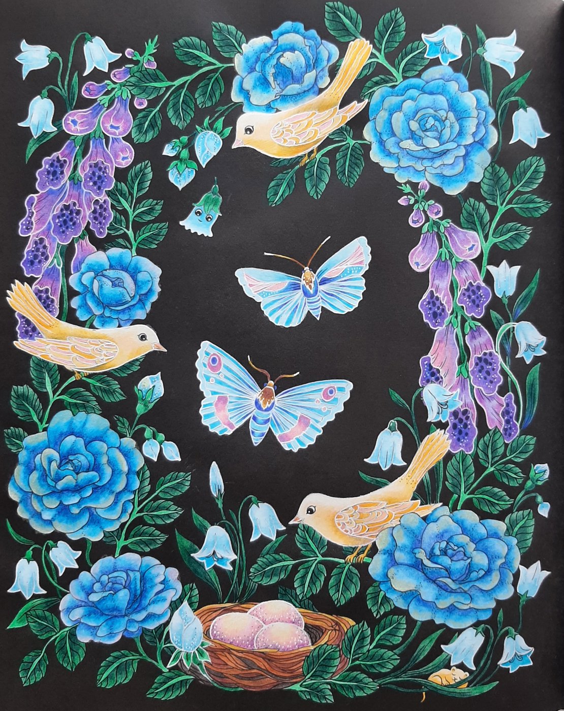 Работа от Natalya_coloring