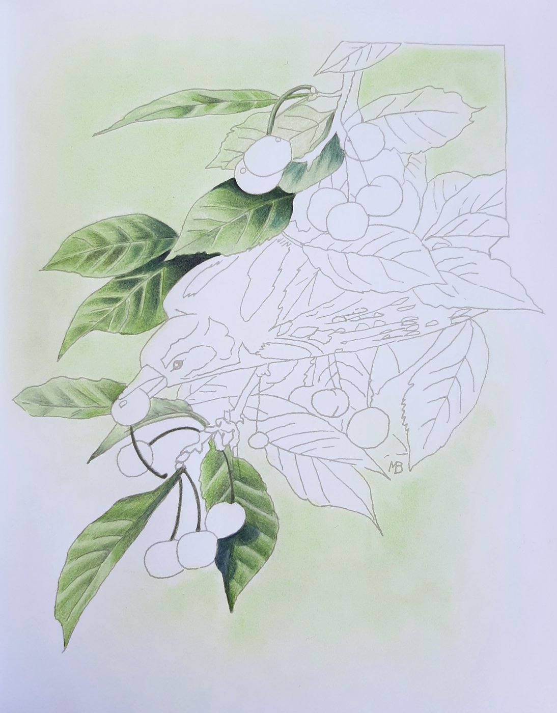 Работа от Natalya_coloring (2/3)