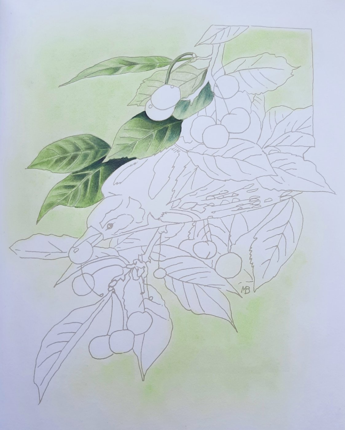 Работа от Natalya_coloring (3/3)