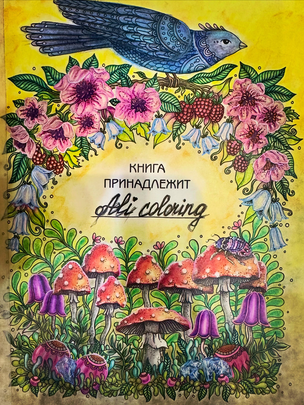 Работа от Alima