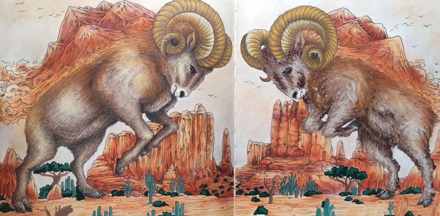Работа от Ox.