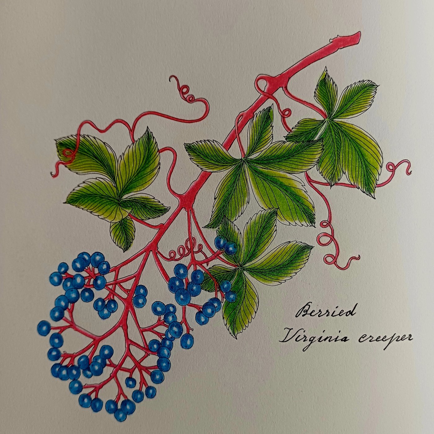 Работа от Violetta Zaikina