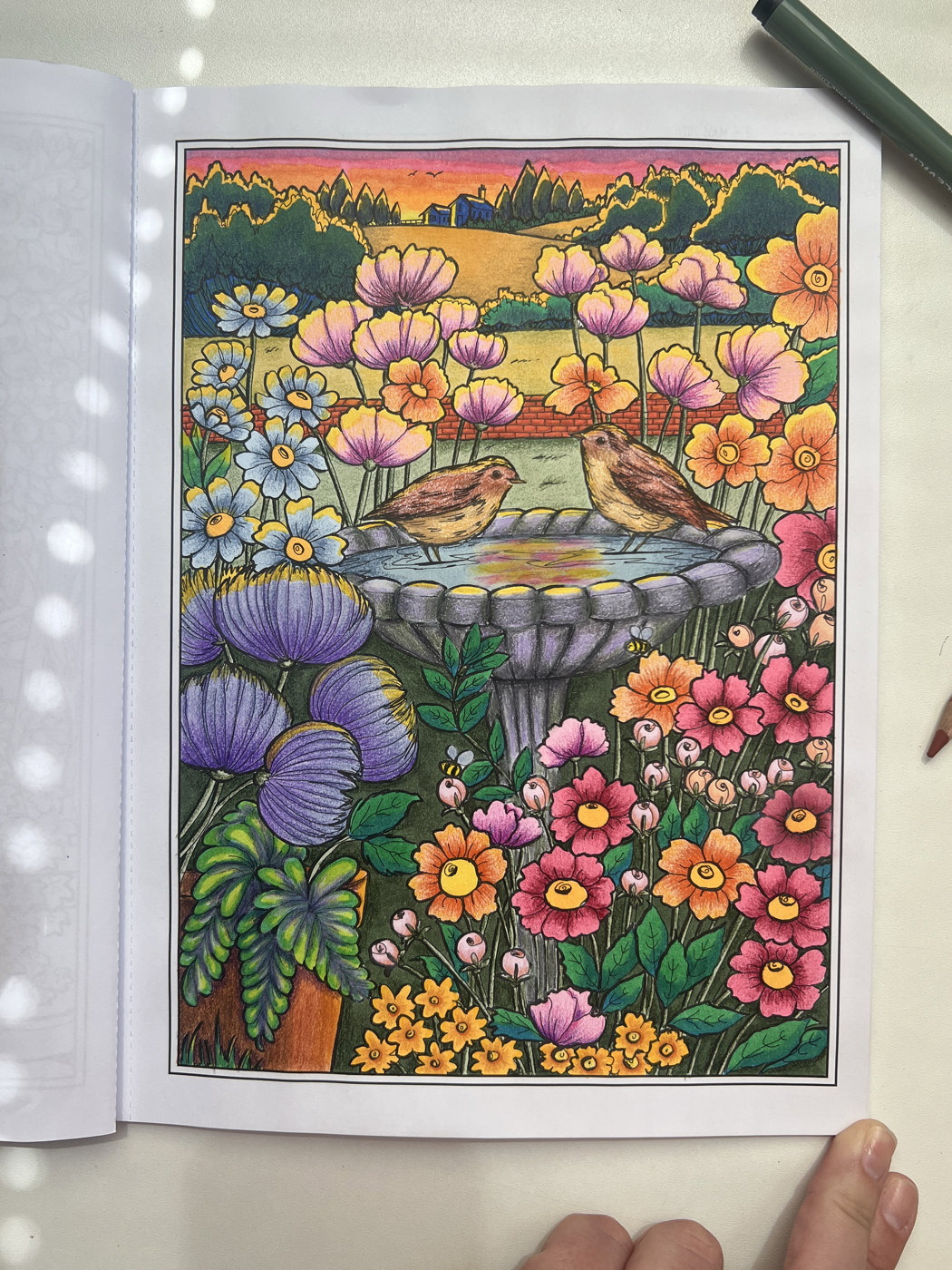 Работа от Sunflower_s color (2/2)