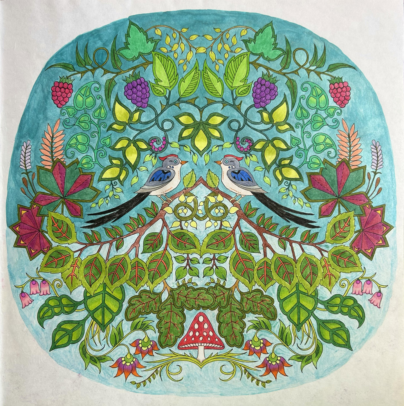 Работа от JuliaKrasevich
