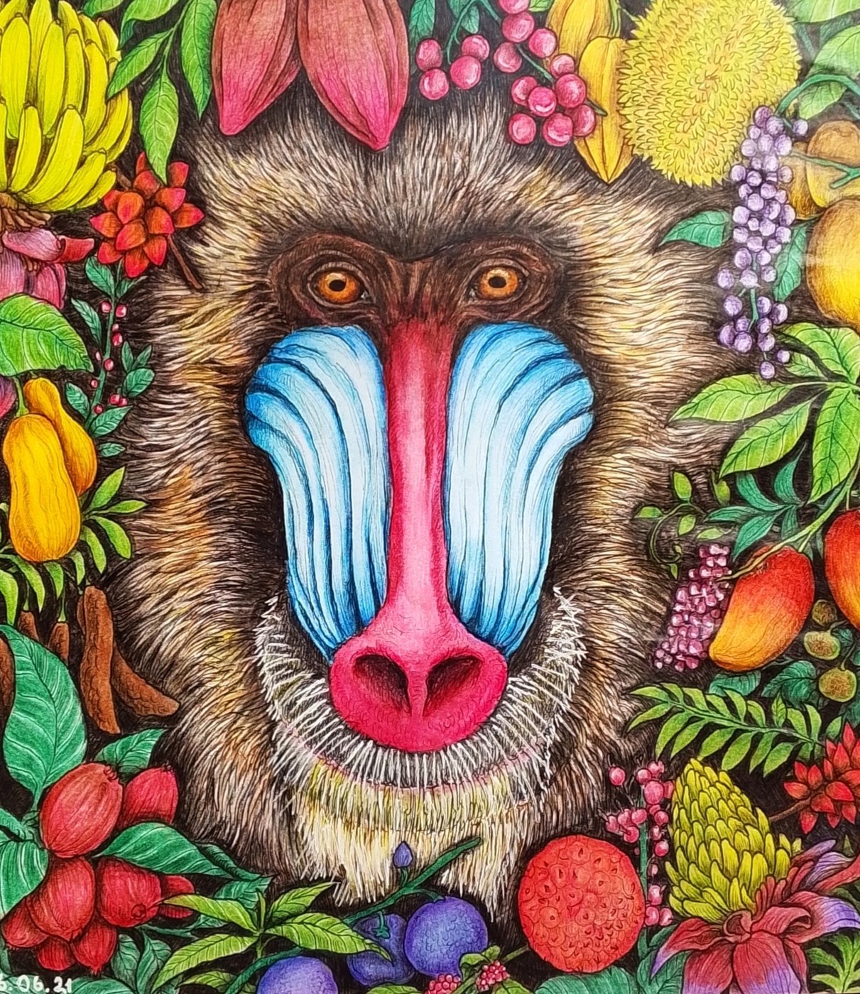 Мандрил от DarColorBook