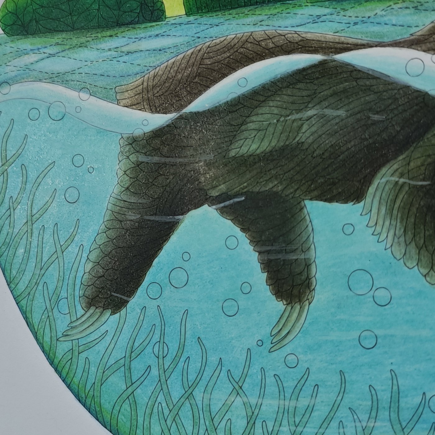 Работа от Anna Treyson (3/3)