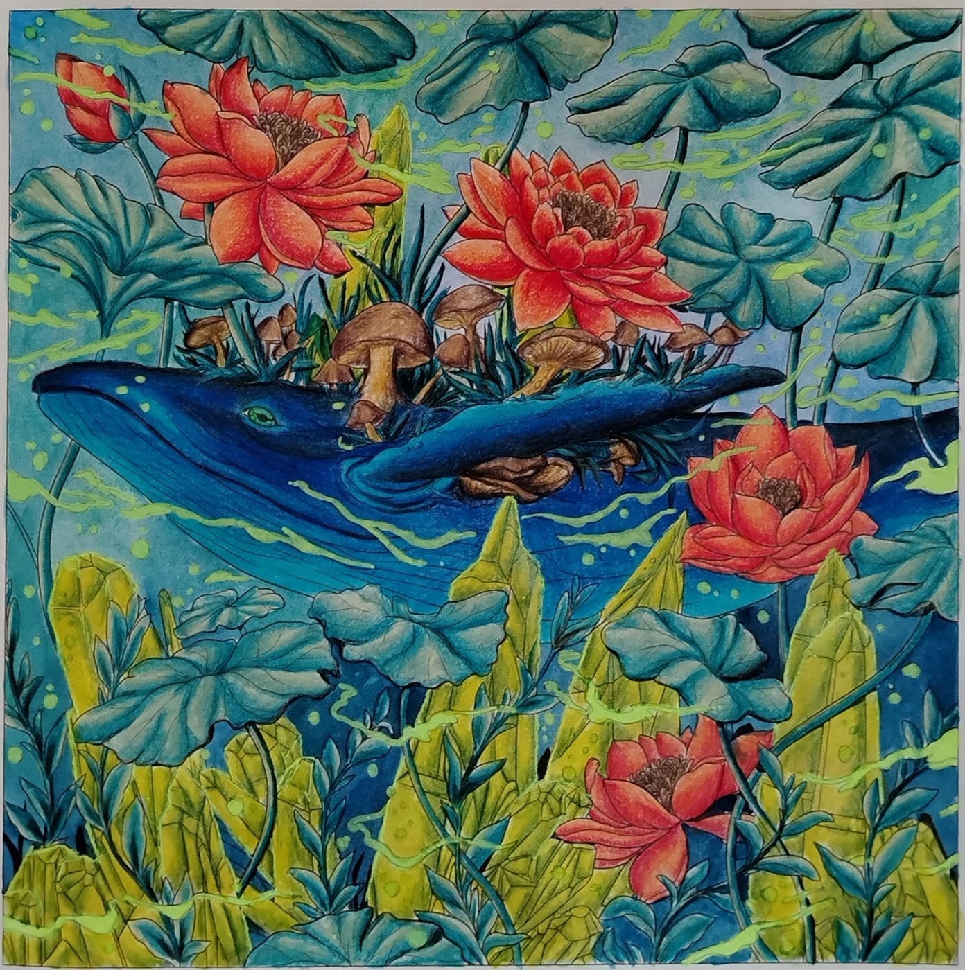 Работа от svetasik