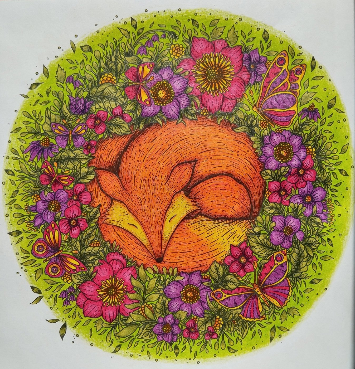 Работа от Daria_coloring_hobby