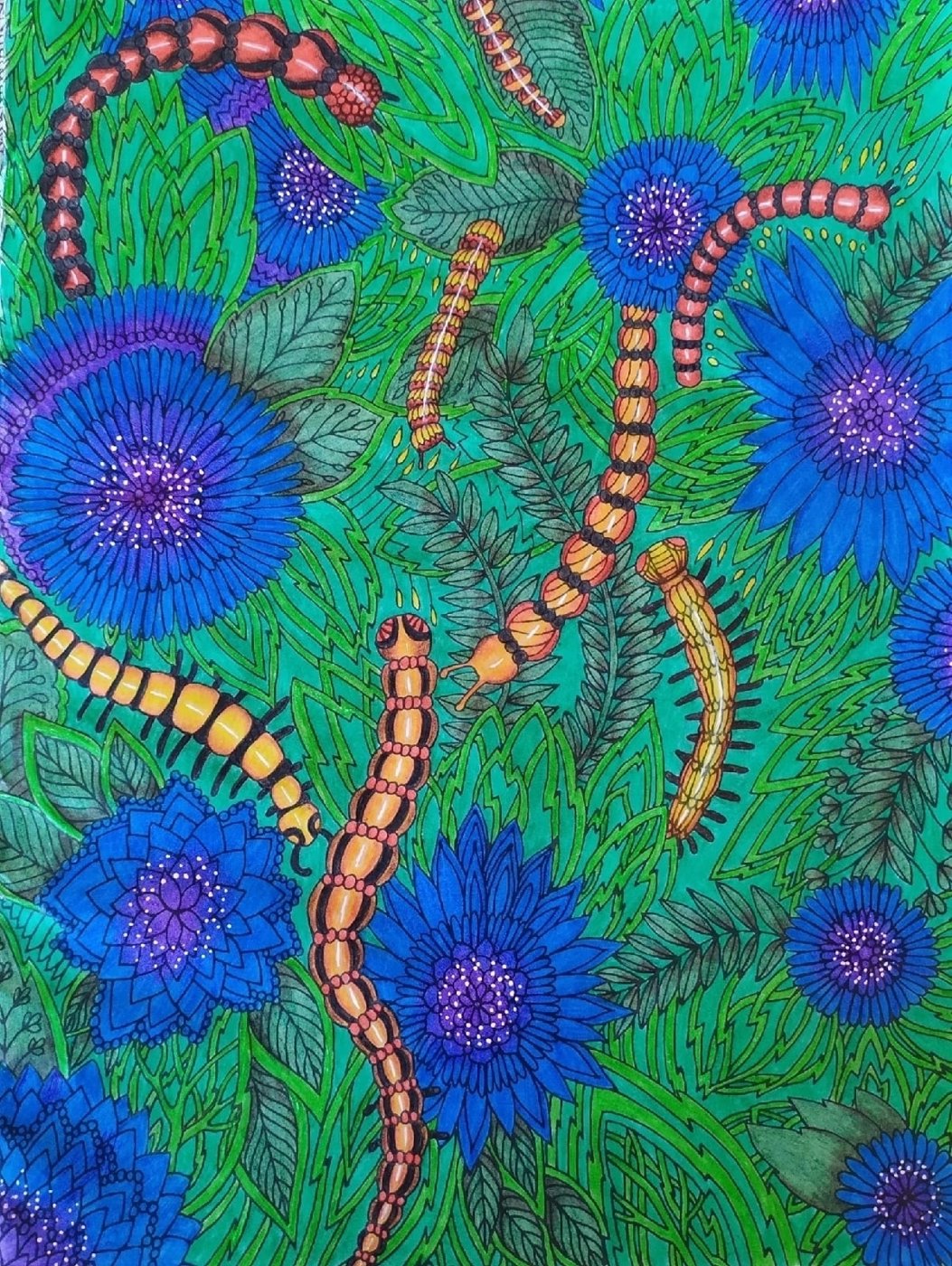 Работа от Daria_coloring_hobby