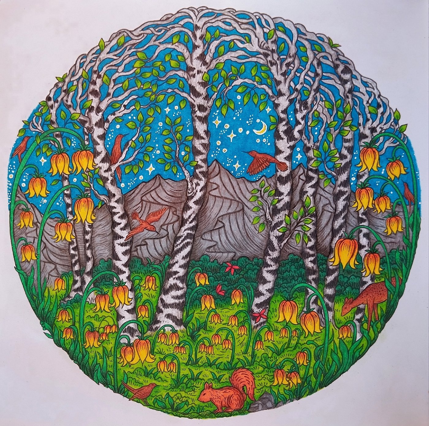Работа от Daria_coloring_hobby