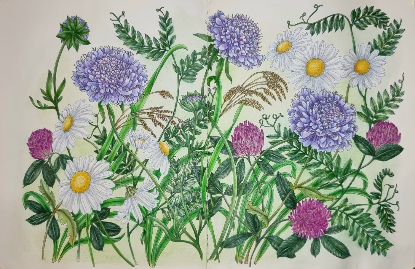 Работа от Murena Coloring