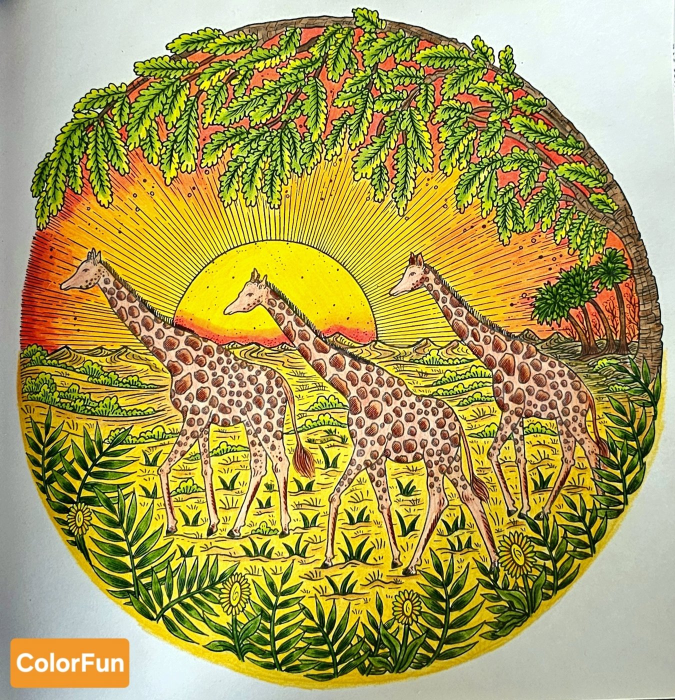 Работа от ColorFun