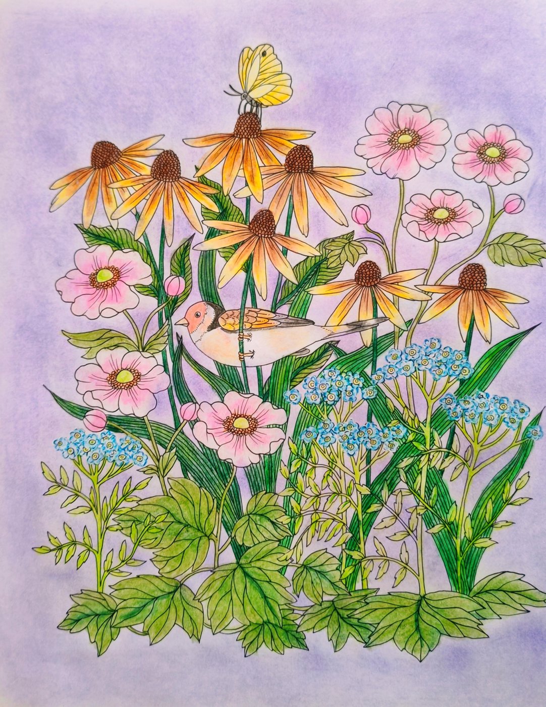 Работа от Lana hobby