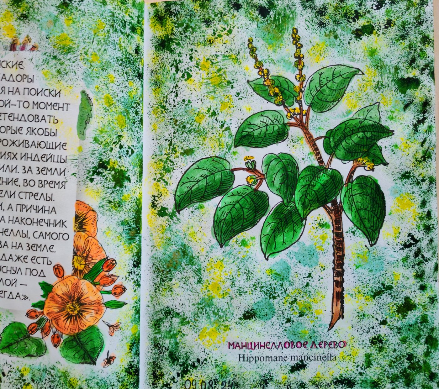 Работа от Lana hobby (1/2)