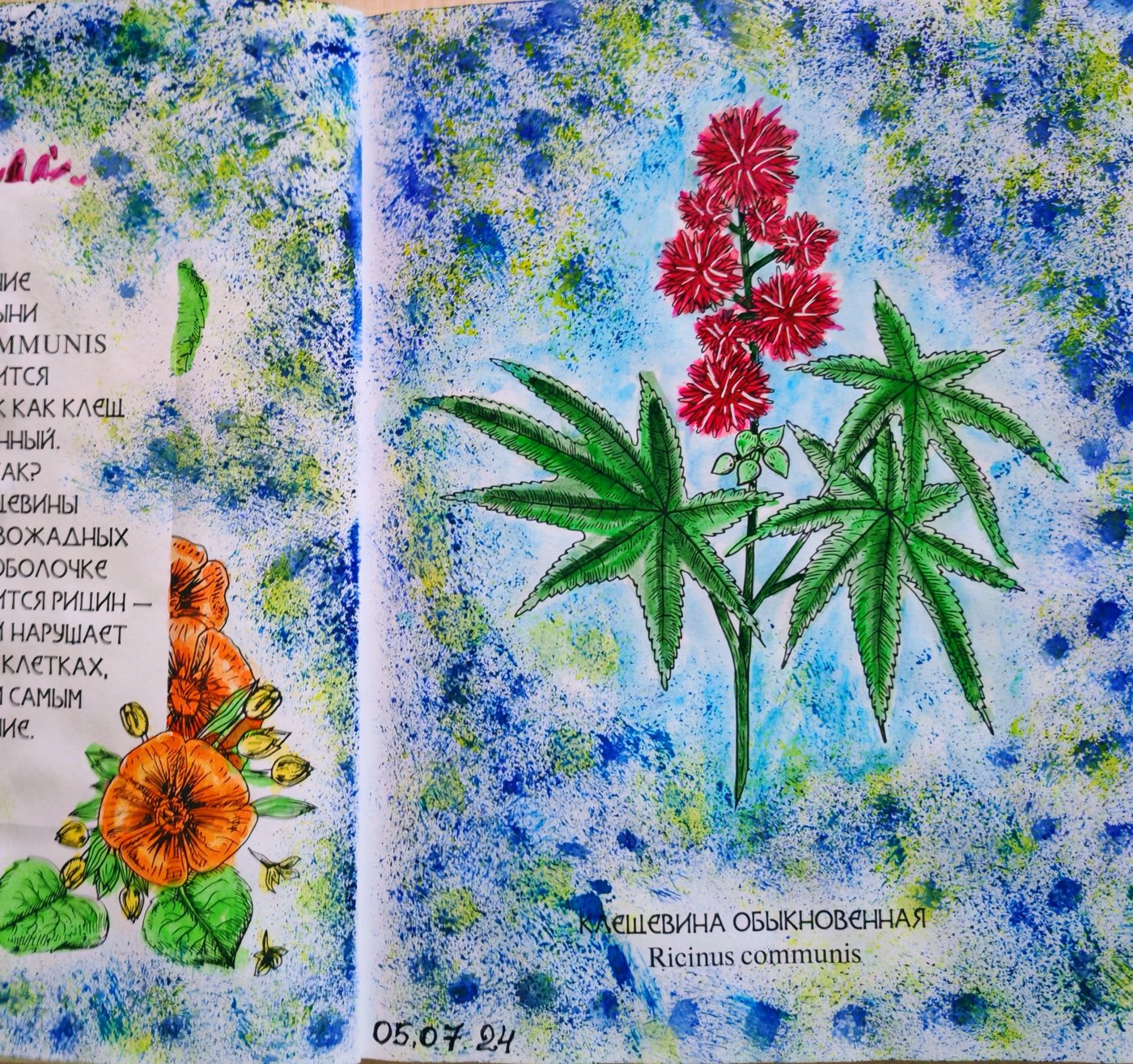 Работа от Lana hobby