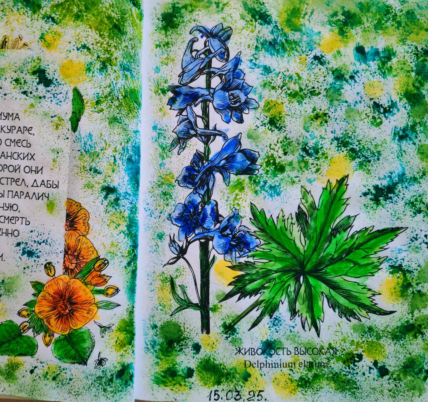Работа от Lana hobby