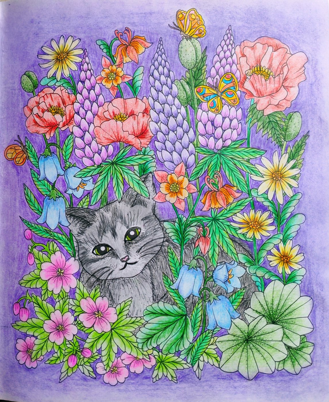 Работа от Lana hobby