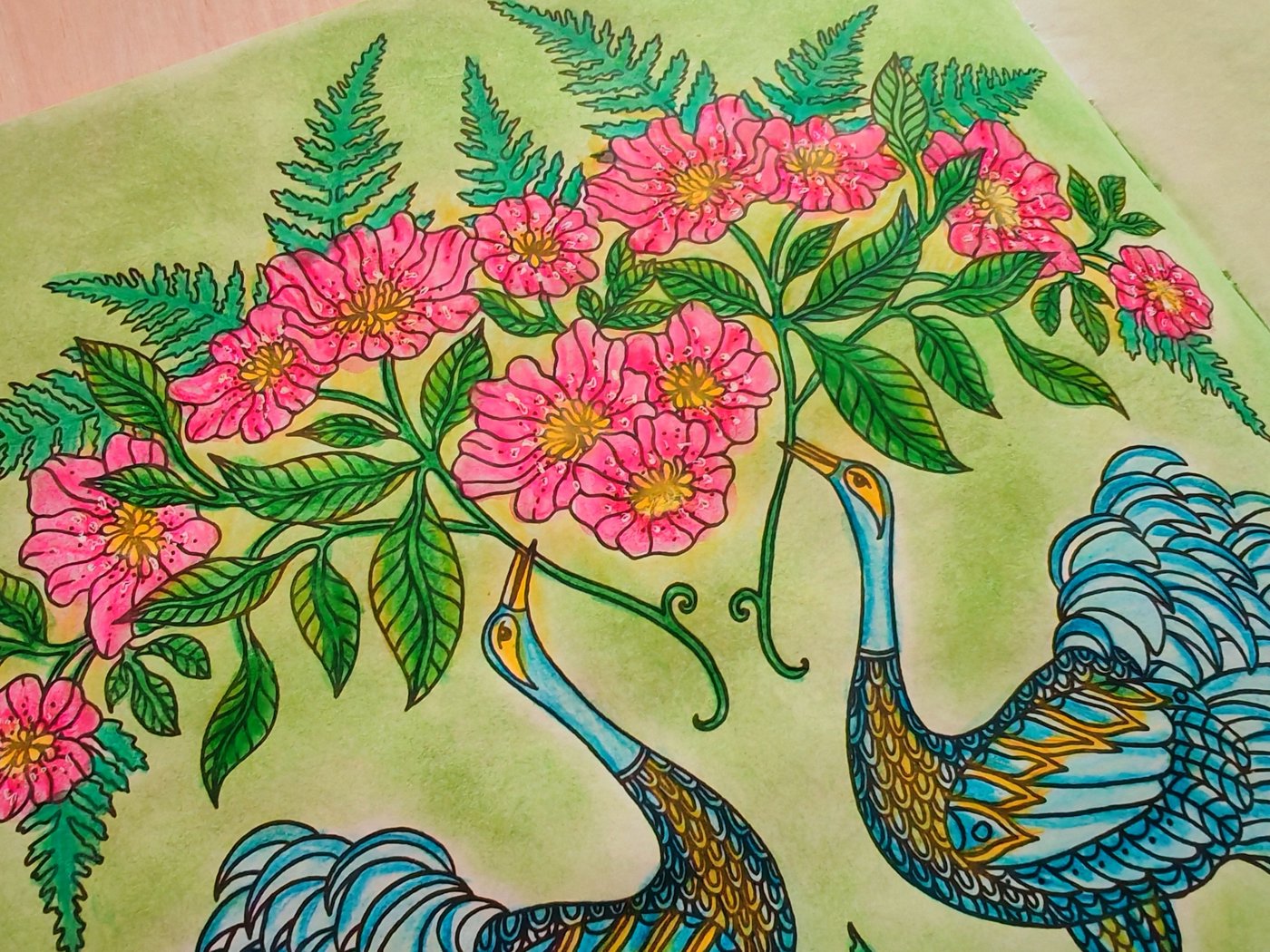 Работа от Lana hobby (2/2)