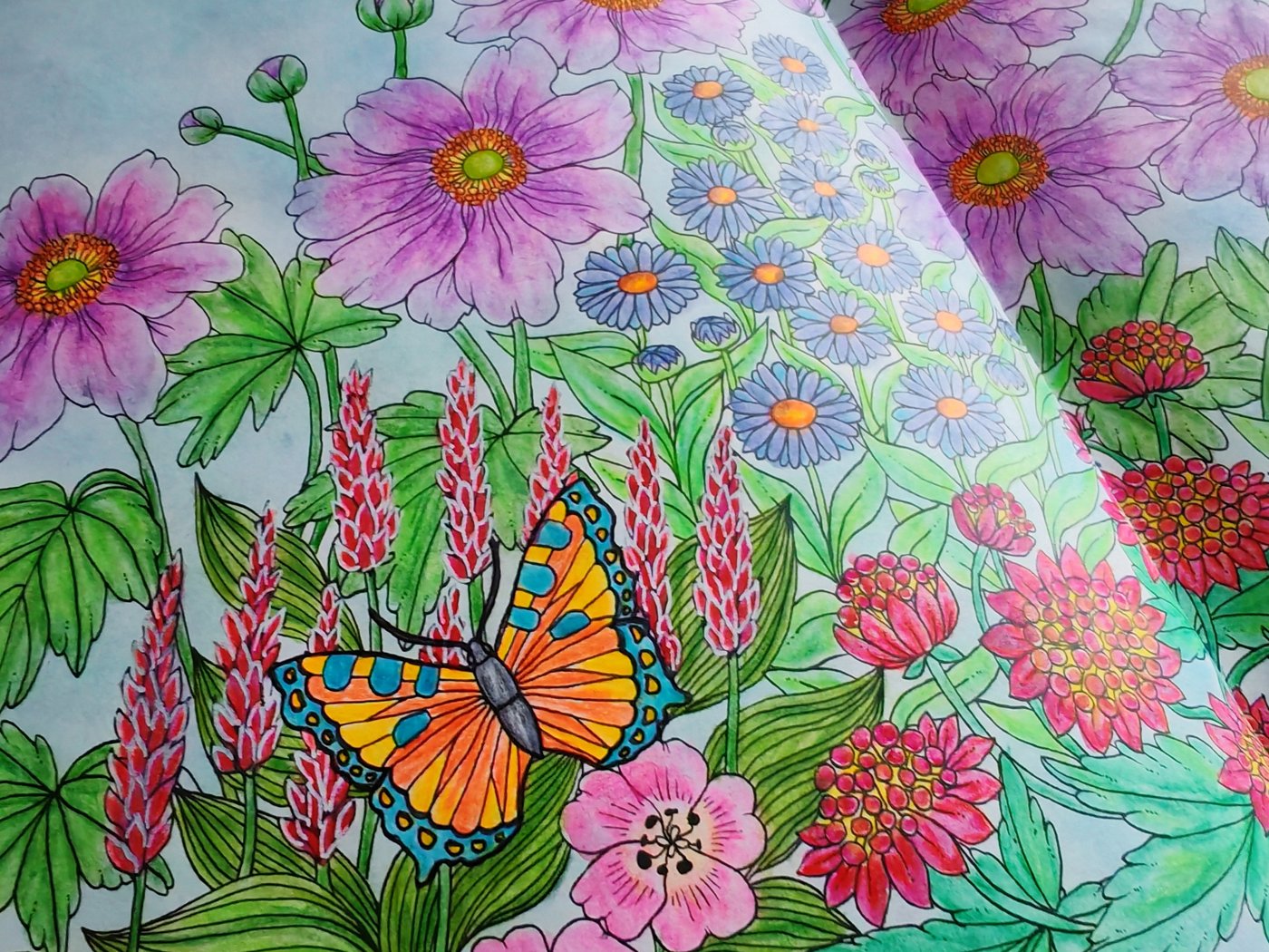 Работа от Lana hobby (3/3)