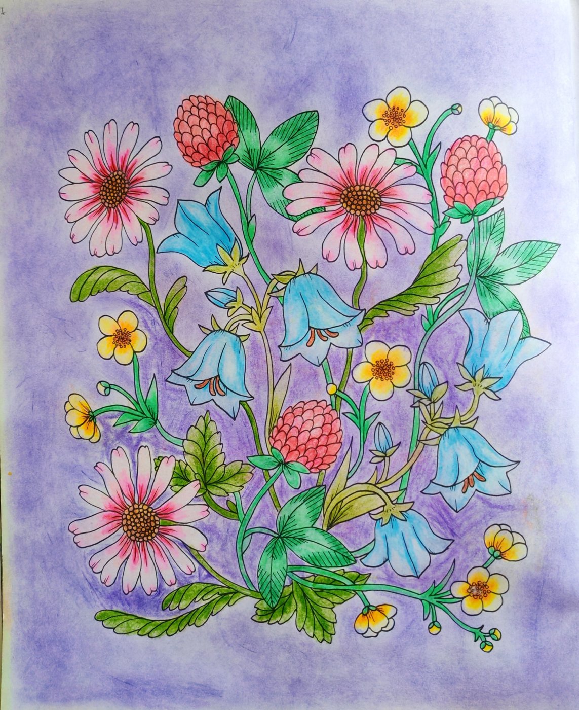 Работа от Lana hobby