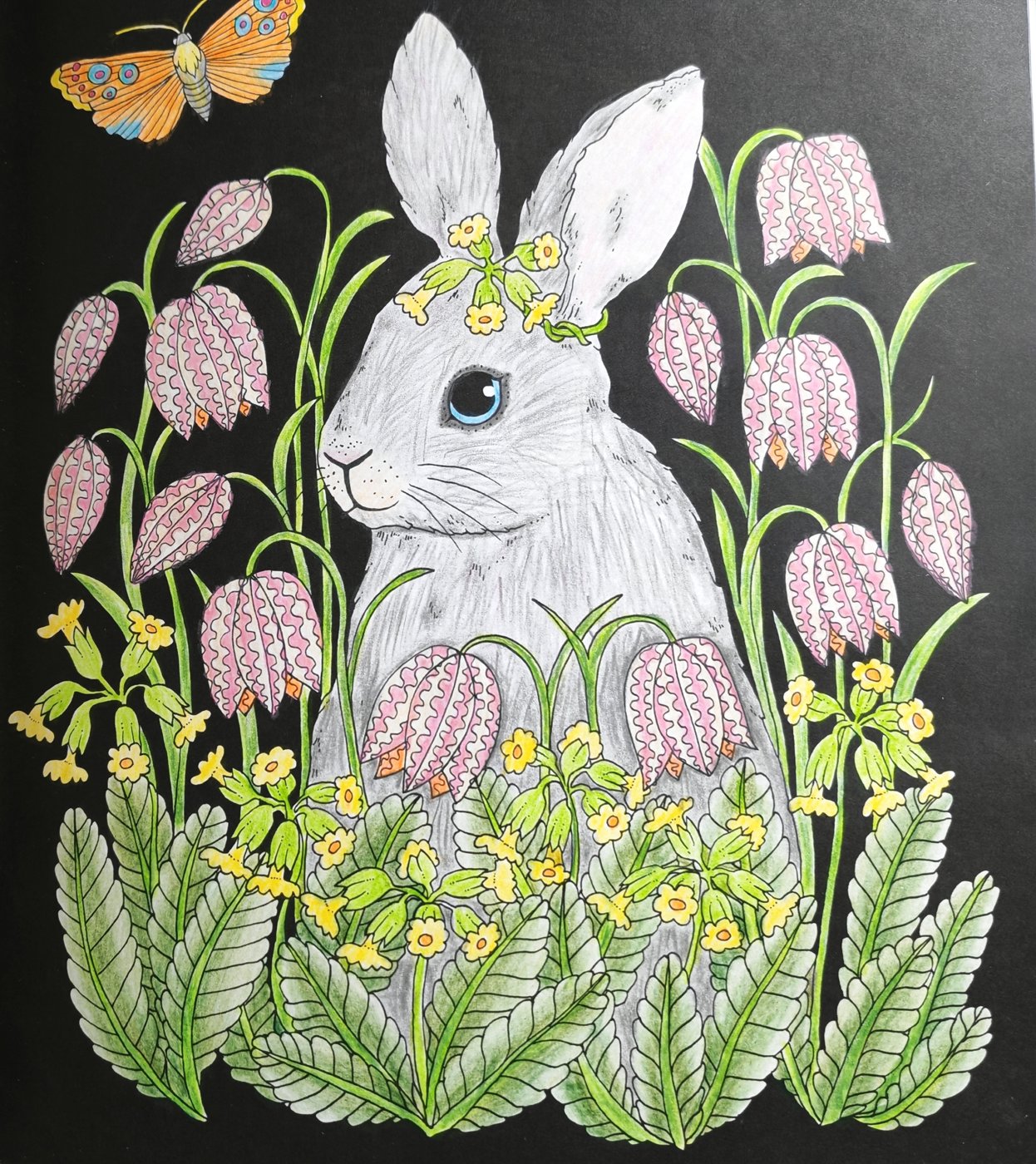 Работа от Lana hobby