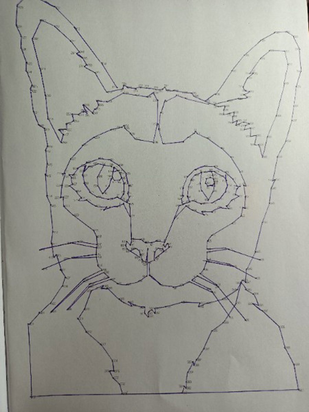 Кот от VikaS