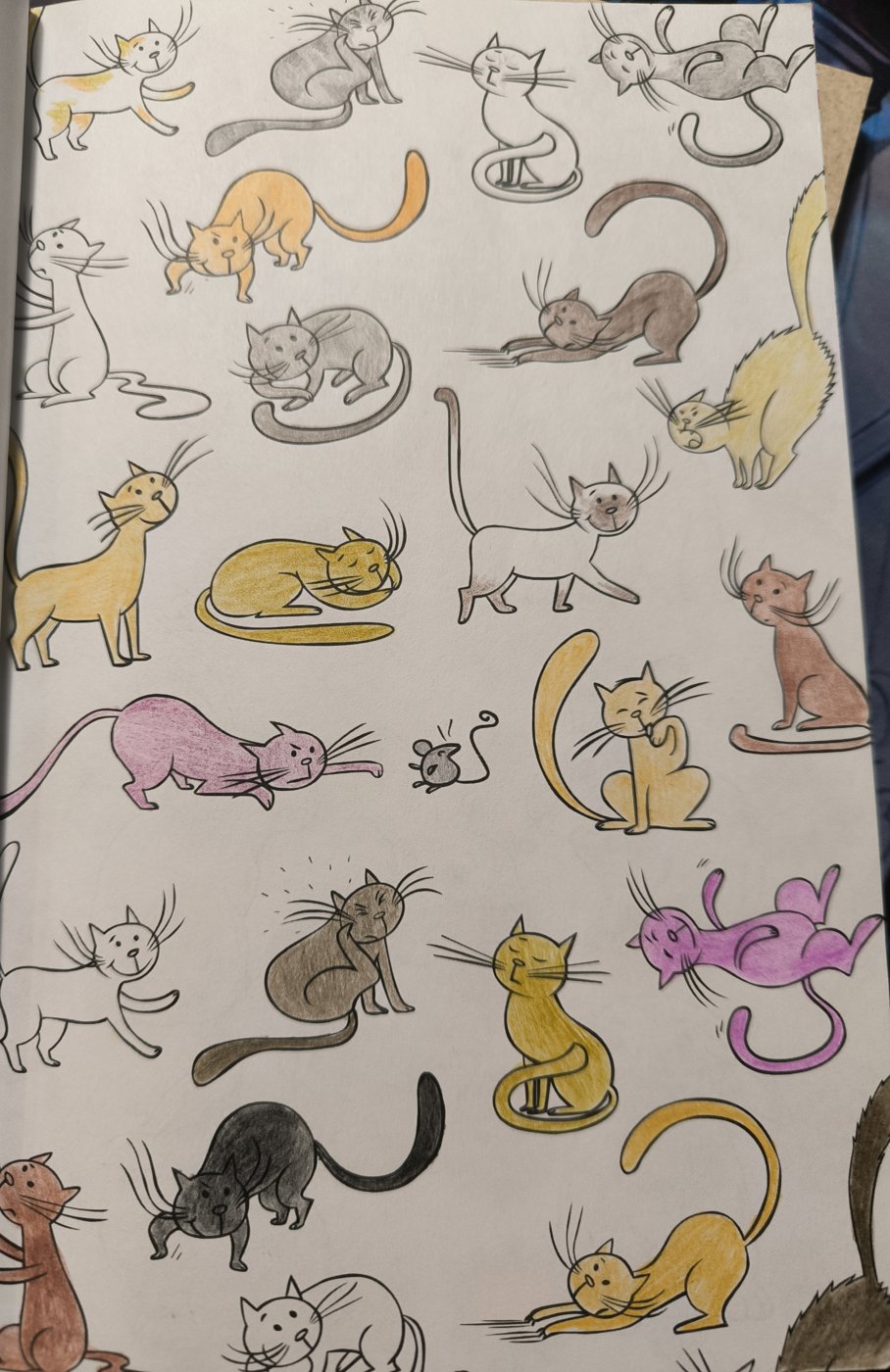 Коты от VikaS