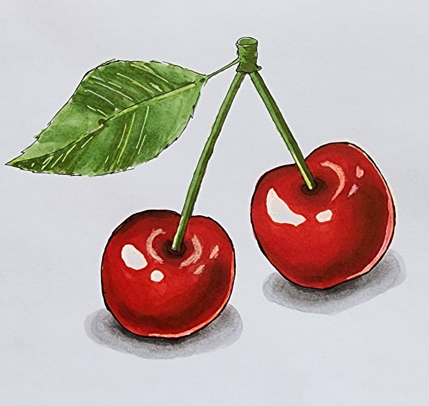 Черешня от Allitera