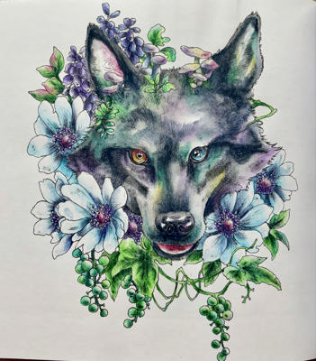 Работа @Coloring blossom