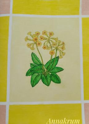 Primula veris - Первоцвет весенний от Annakrum