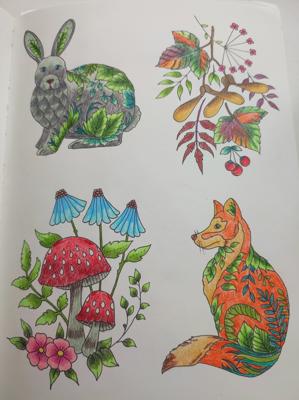 Работа от ColorfulOlga