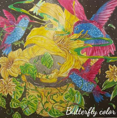Работа от Butterfly color