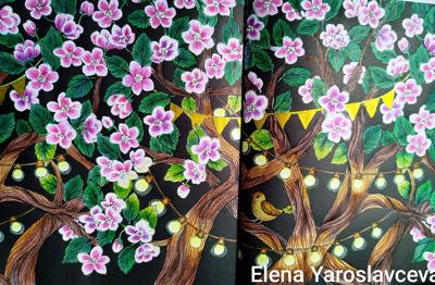 Работа от Elena Y.