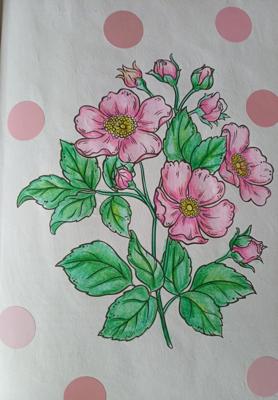 Работа @Лариса Г.