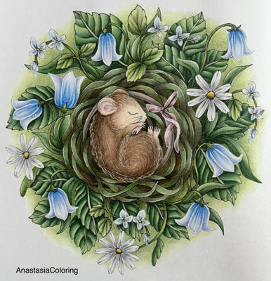 Работа @AnastasiaColoring