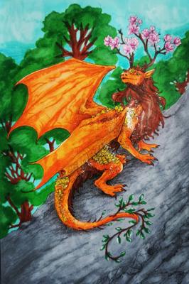 procyon-art