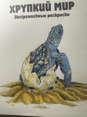Natalka80