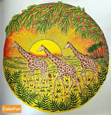 Работа от ColorFun
